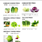 000181 CABBAGE,CHINESECABBAGE,FRESH