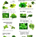 000225 PARSLEY,FRESH