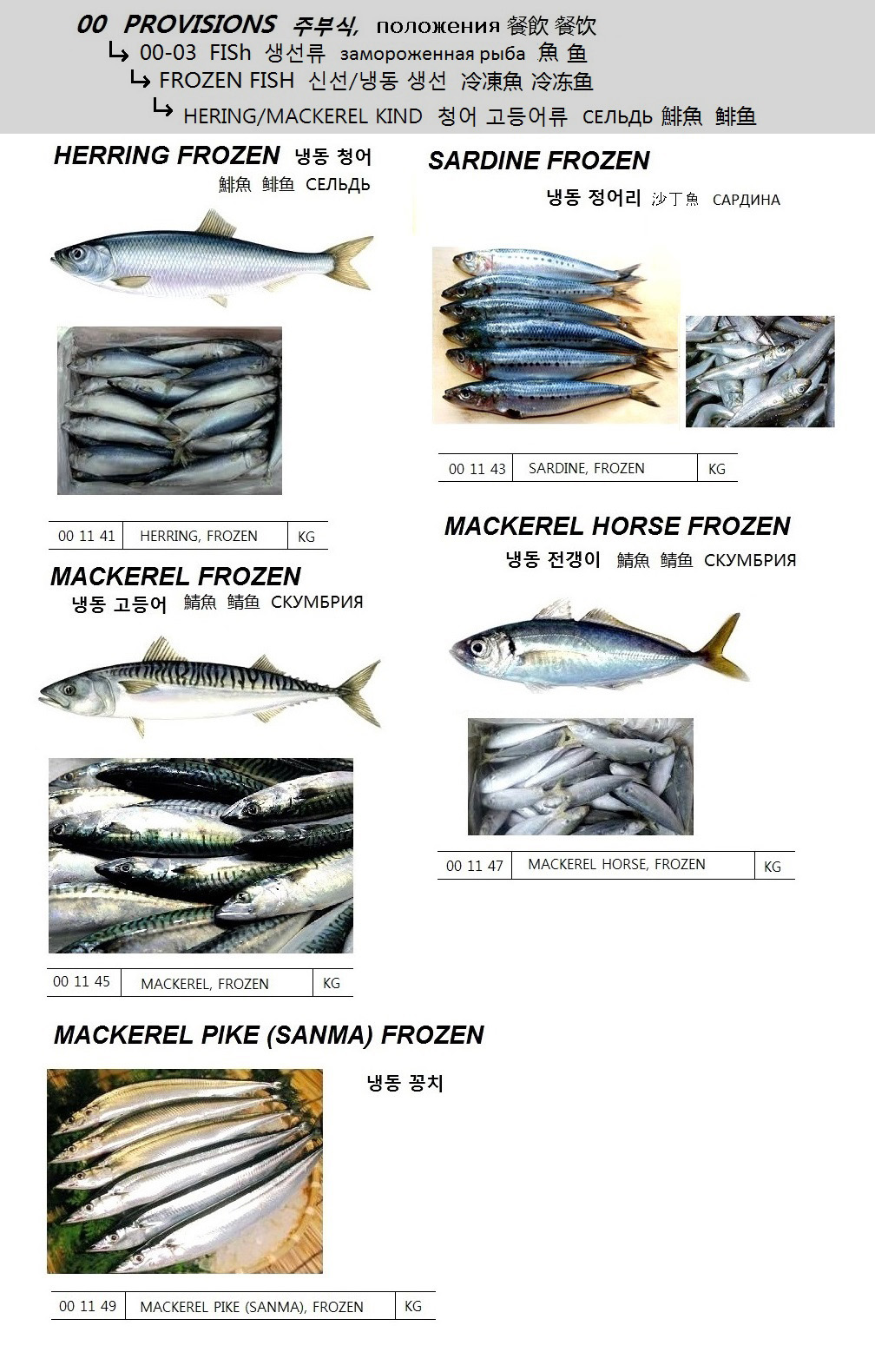 001149 MACKERELPIKE(SANMA),FROZEN