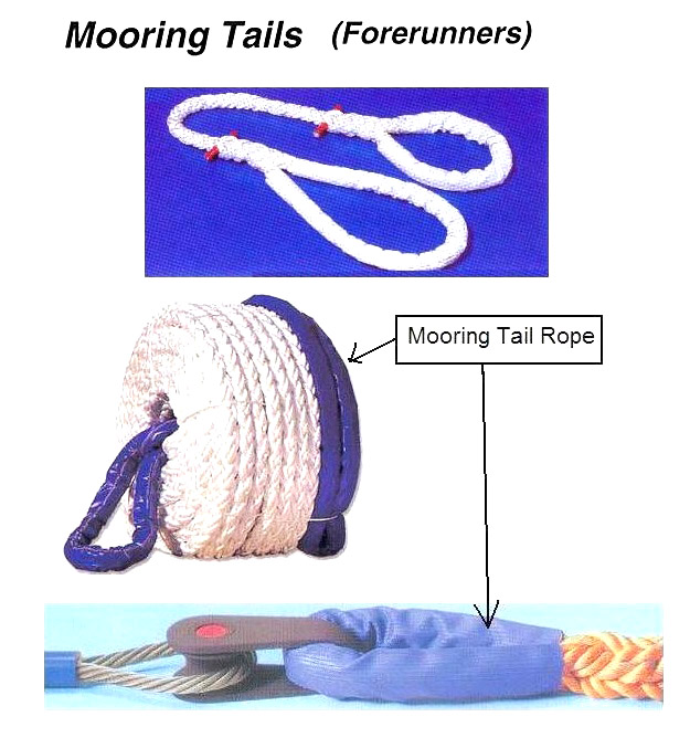 2111 MOORINGTAILS,(FORERUNNERS)