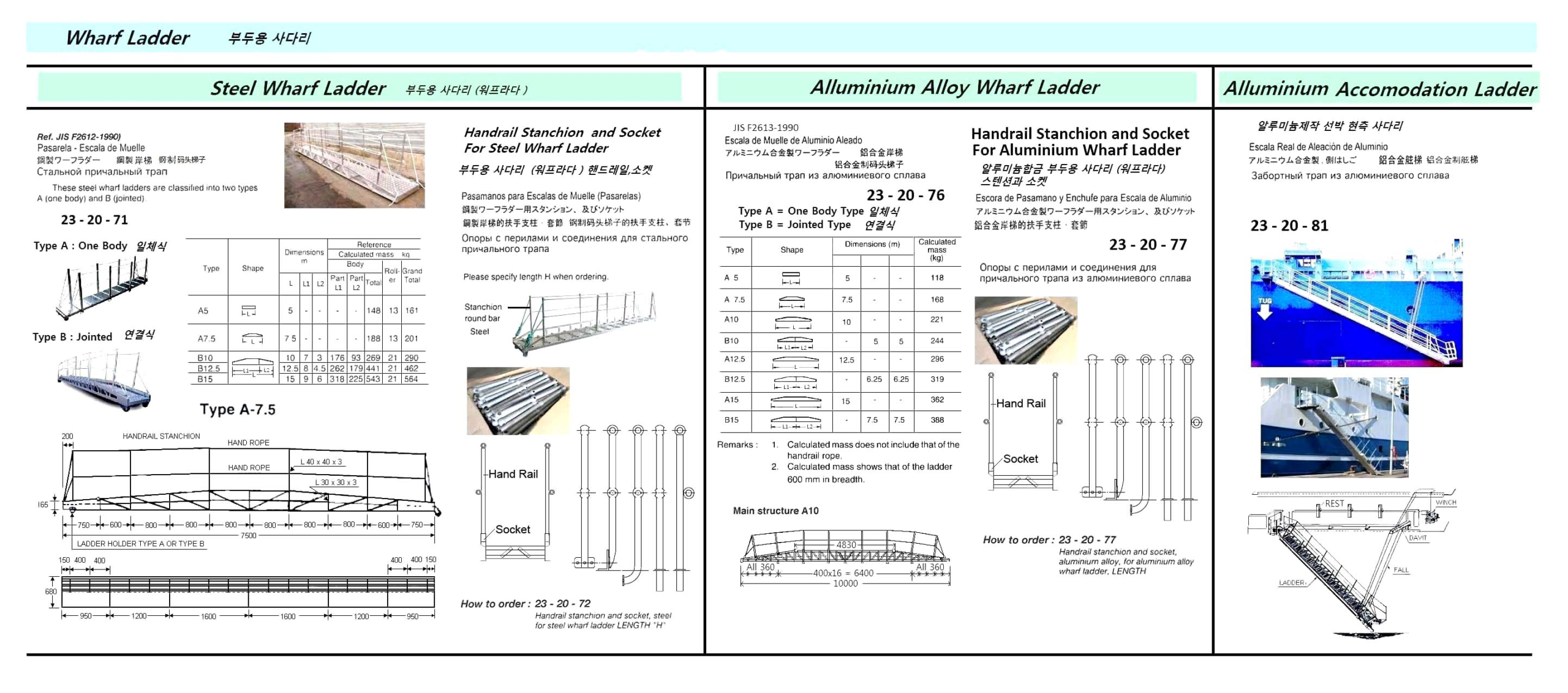 232071 STEELWHARFLADDER