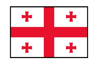 371118 MERCHANTFLAG4'x6'BUNTINGGEORGIA