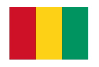 371121 MERCHANTFLAG4'x6'BUNTINGGUINIA