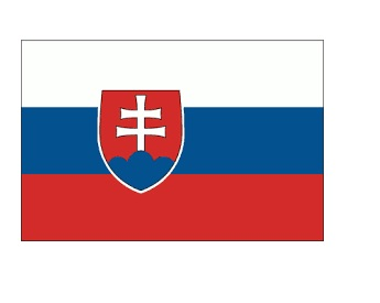 371139 MERCHANTFLAG4'x6'BUNTINGSLOVAKIA