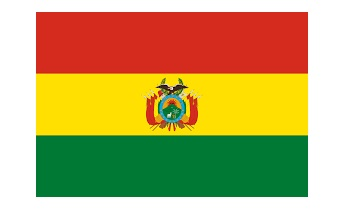 371204 MERCHANTFLAG3'x4'BUNTINGBOLIVIA