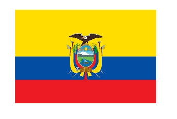 371217 MERCHANTFLAG3'x4'BUNTINGECUADOR