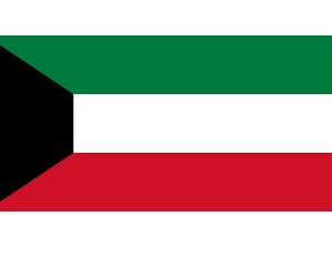 371240 MERCHANTFLAG3'x4'BUNTINGKUWAIT