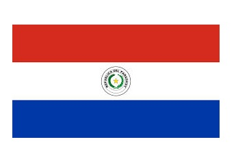 371355 MERCHANTFLAG4'x6'BUNTINGPARAGUAY