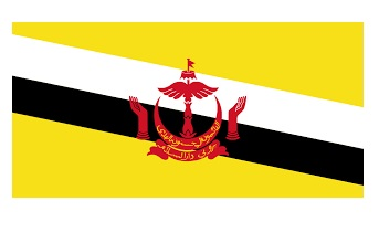 373132 NATIONALFLAG,SIZE:2'x3',BRUNEI