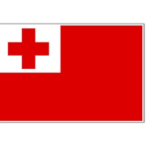 373318 NATIONALFLAG,SIZE:2'x3',TONGA