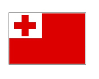 373318 NATIONALFLAG,SIZE:2'x3',TONGA