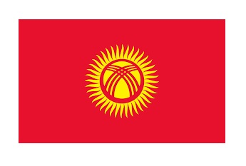 373516 NATIONALFLAG,SIZE:3'x4',KYRGYZSTAN