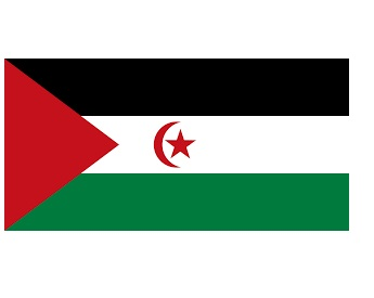 373642 NATIONALFLAG,SIZE:3'x4',WESTERNSAHARA
