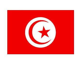 373921 NATIONALFLAG,SIZE:3'x5',TUNISIA