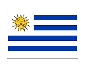 373931 NATIONALFLAG,SIZE:3'x5',URUGUAY