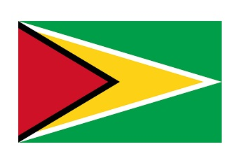 374092 NATIONALFLAG,SIZE:4'x6',GUYANA