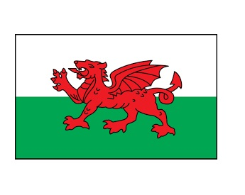 374240 NATIONALFLAG,SIZE:4'x6',WALES