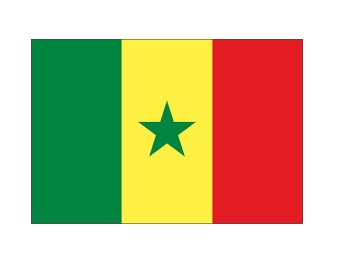 374492 NATIONALFLAG,SIZE:6'x8',SENEGAL