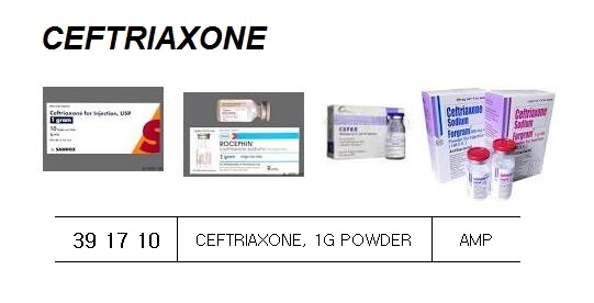 391710 CEFTRIAXONE,1GPOWDER