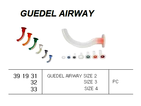 391933 GUEDELAIRWAYSIZE4