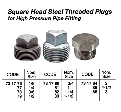 731785 SQUAREHEADSTEELTHREADEDPLUG,H.P.2-1/2