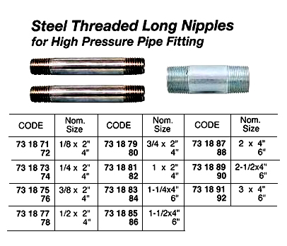 731891 STEELTHREADEDLONGNIPPLE,H.P.3x4"