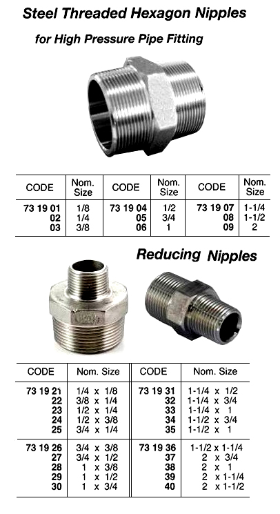 731938 STEELTHREADEDHEXAGONREDUCINGNIPPLE,H.P.2x1