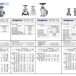 750422 MARINECASTSTEELANGLEVALVE,FLANGEEND,JISF7320,10KGF/CM2,65MM
