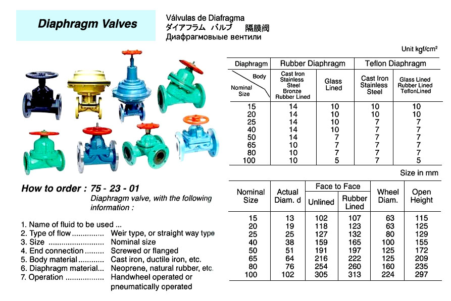 752301 DIAPHRAGMVALVE(NEEDSIZE,TYPE?)