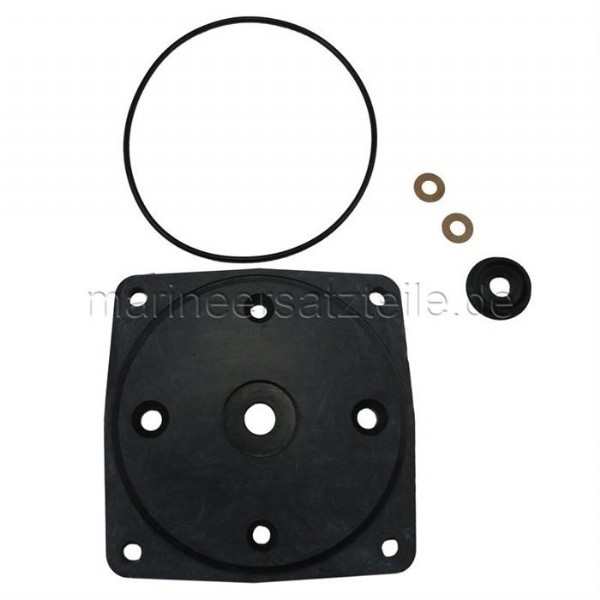 Jabsco 37018-0000 Wearplate Kit (Düz Motorlu Tip)